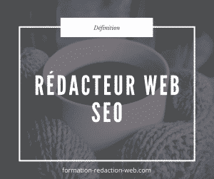 redacteur web seo